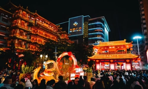 Chinese New Year Flower Fair 